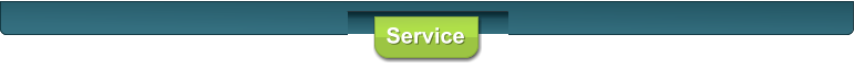 Service